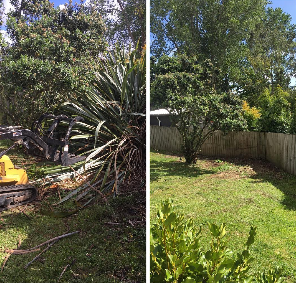 Flax Removal Auckland